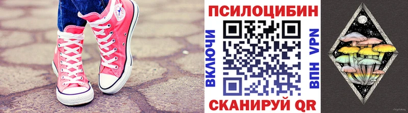 blacksprut онион наркота Приморско-Ахтарск Галлюциногенные грибы Psilocybine cubensis